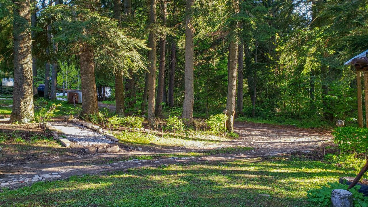 Guest Rooms- Klepalski House Borovets Bagian luar foto