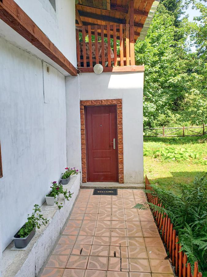 Guest Rooms- Klepalski House Borovets Bagian luar foto