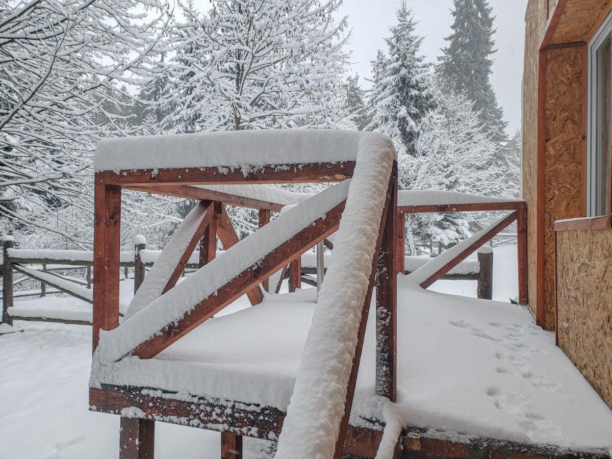Guest Rooms- Klepalski House Borovets Bagian luar foto