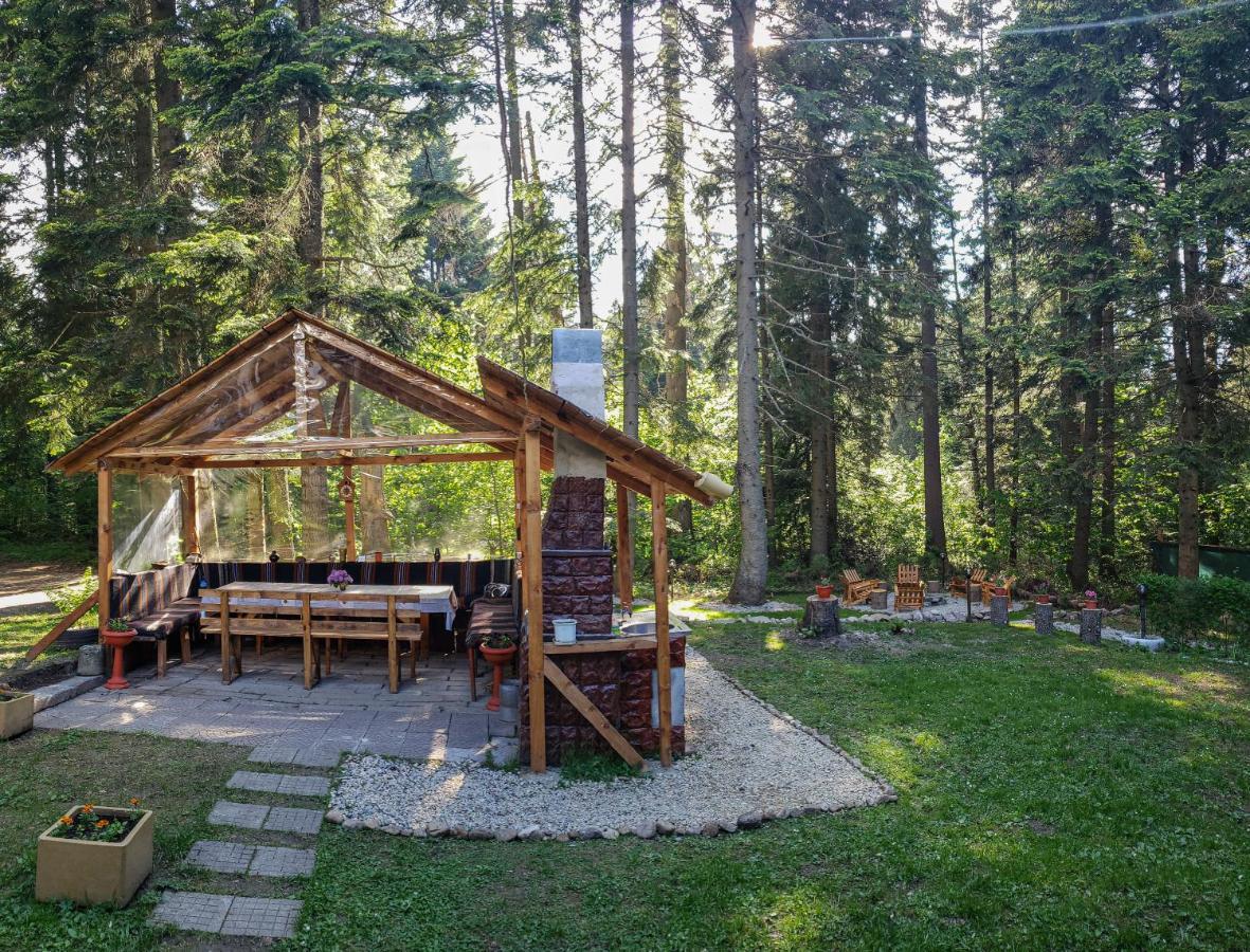 Guest Rooms- Klepalski House Borovets Bagian luar foto