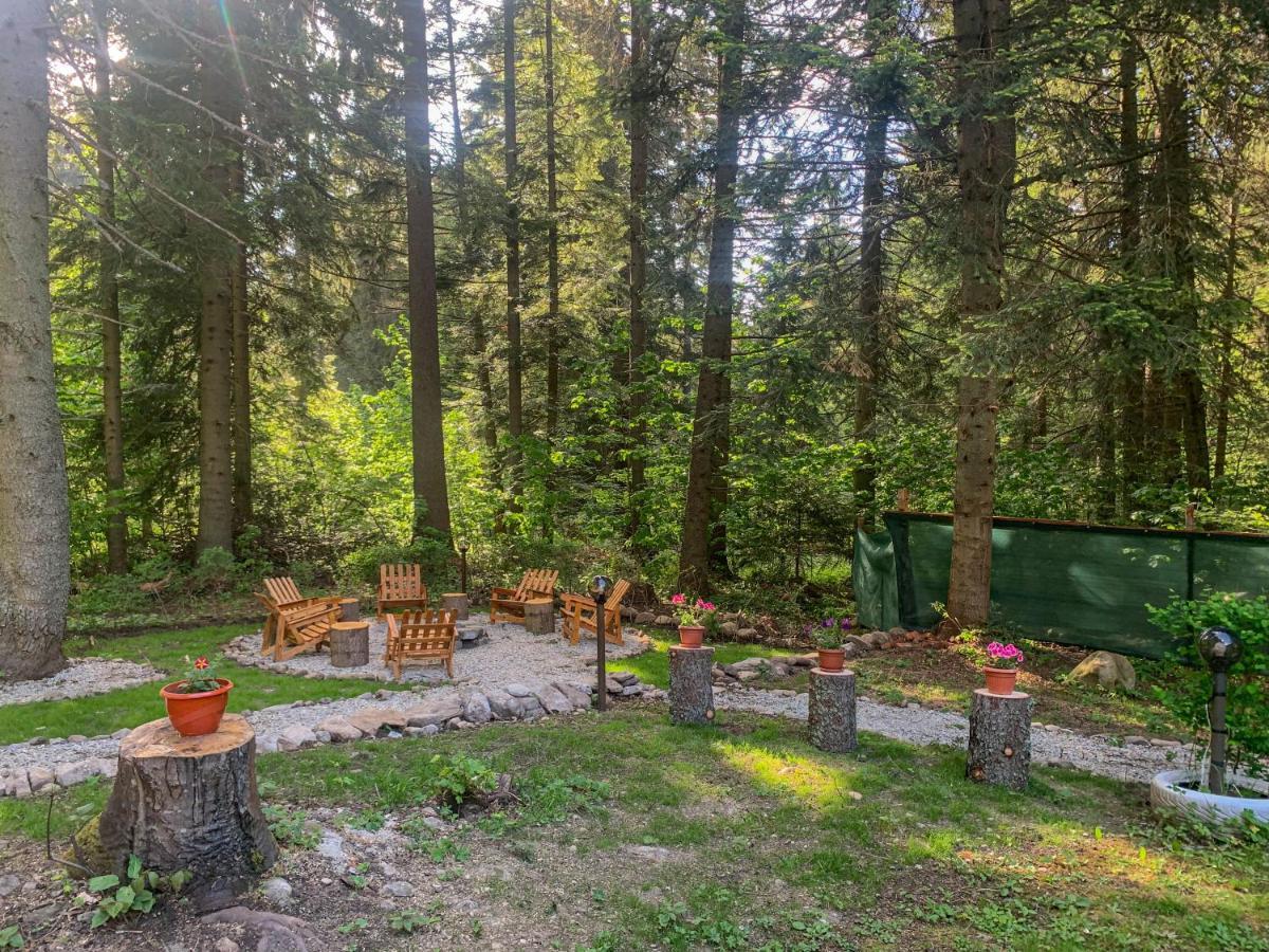 Guest Rooms- Klepalski House Borovets Bagian luar foto