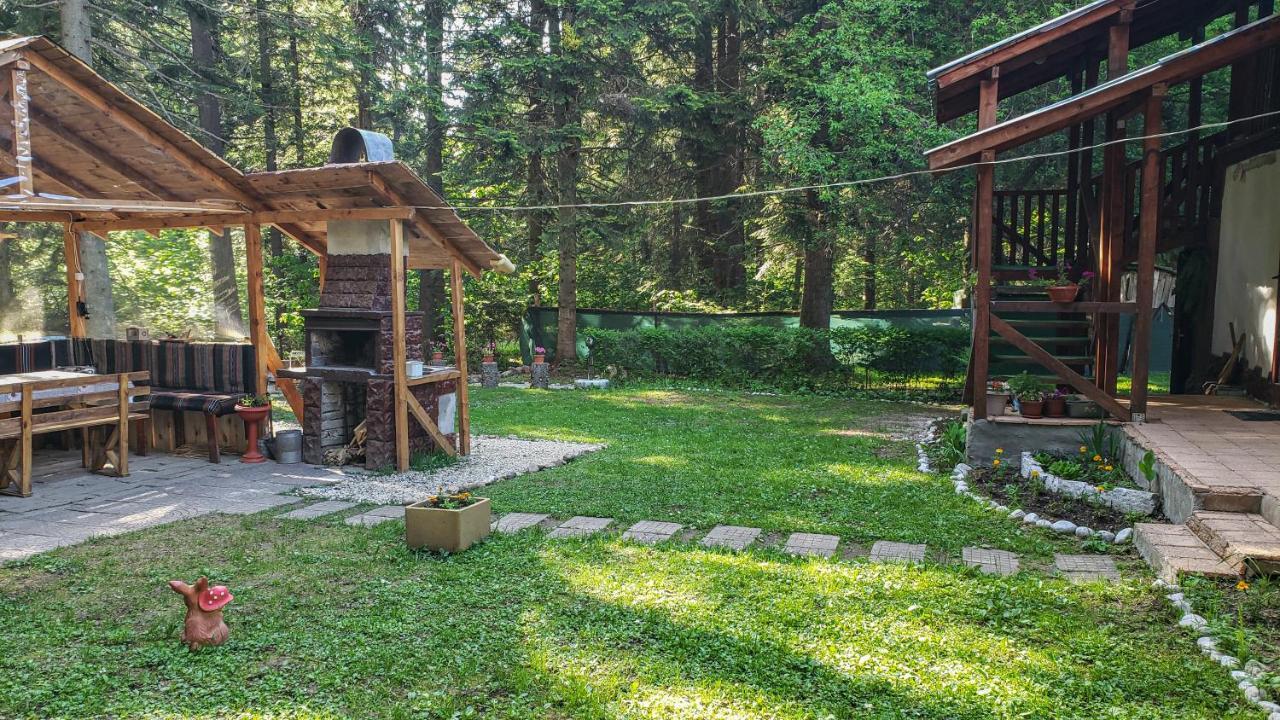 Guest Rooms- Klepalski House Borovets Bagian luar foto